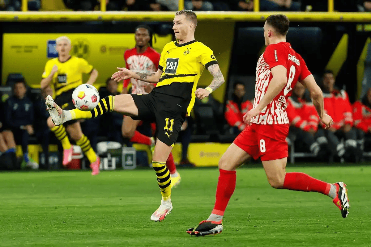 今夜德甲焦点战，孟菲斯灰熊造点机会，压力陡增，赛季目标并未改变的简单介绍-ayx